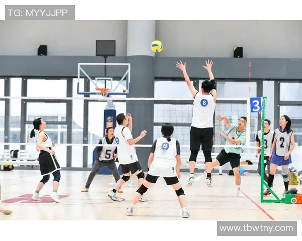 北京排球队的节奏与魅力探秘：排球运动的热情与团队精神